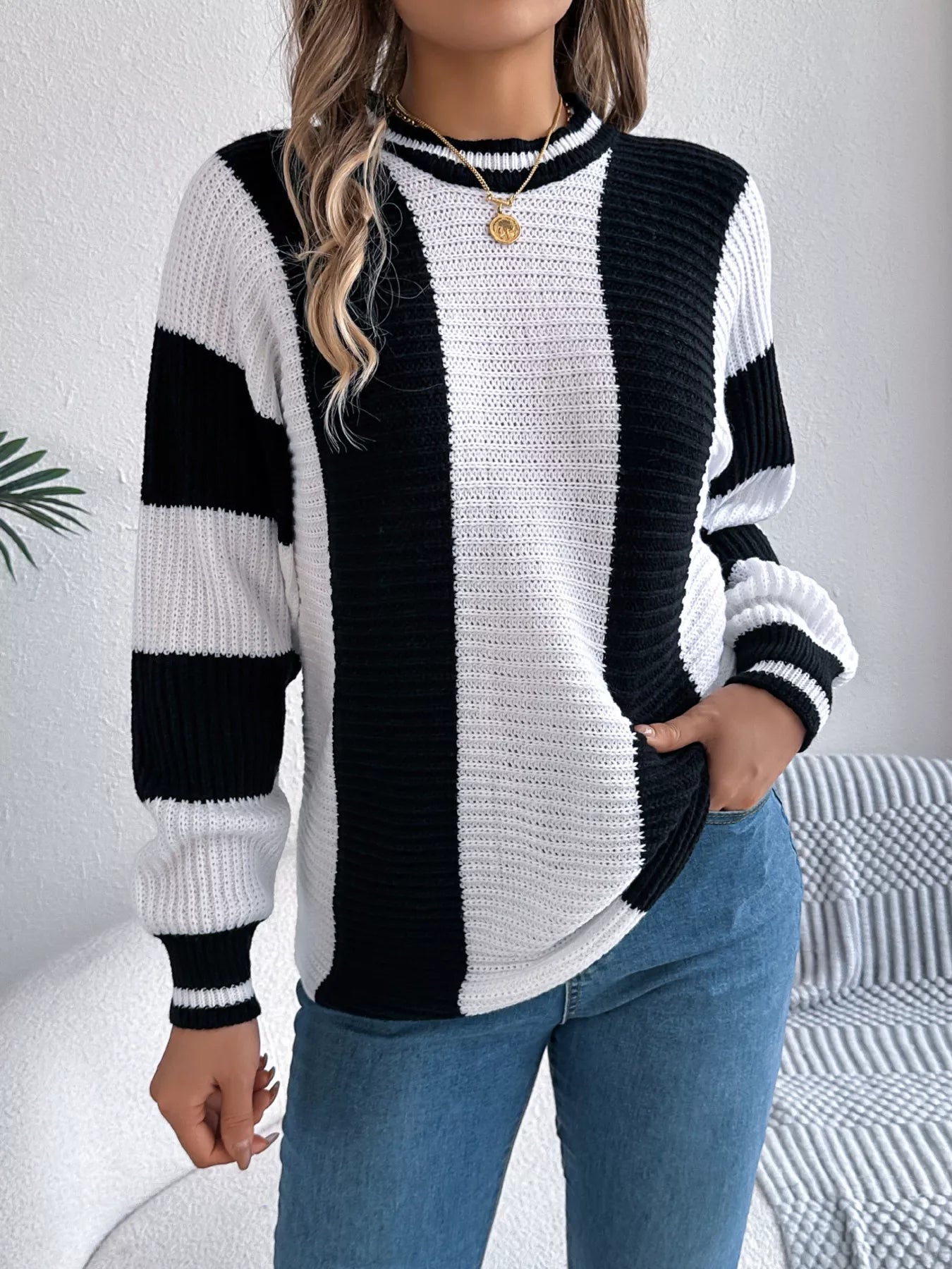 Color Block Round Neck Sweater | Sweaters Sweater from PHUNKYN