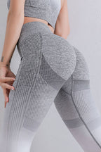 Gradient High Waist Sports Leggings | Leggings Leggings from PHUNKYN
