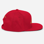 PHUNKYN Snapback Hat - Premium | Snapback Caps Snapback Hat from PHUNKYN