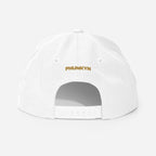 PHUNKYN Snapback Hat - Premium | Snapback Caps Snapback Hat from PHUNKYN