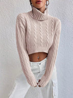 Cable-Knit Turtleneck Long Sleeve Sweater | Sweaters Sweater from PHUNKYN